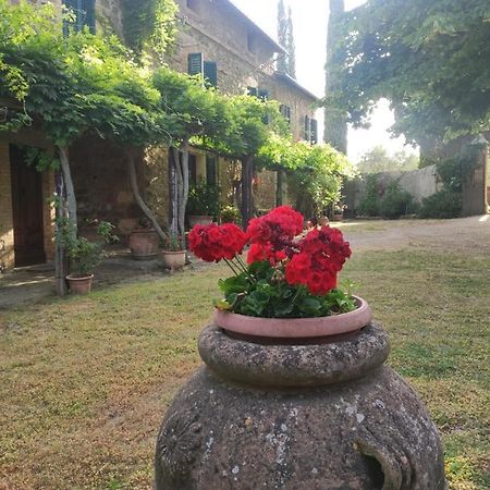 Borgo Villa A Tolli Castelnuovo dell'Abate Luaran gambar